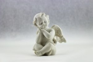 Angel Investor